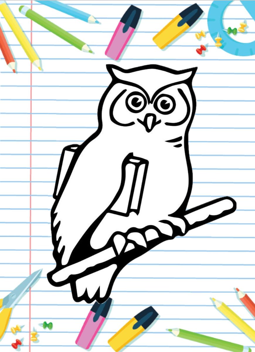 Curriculum%20Owl.jpg