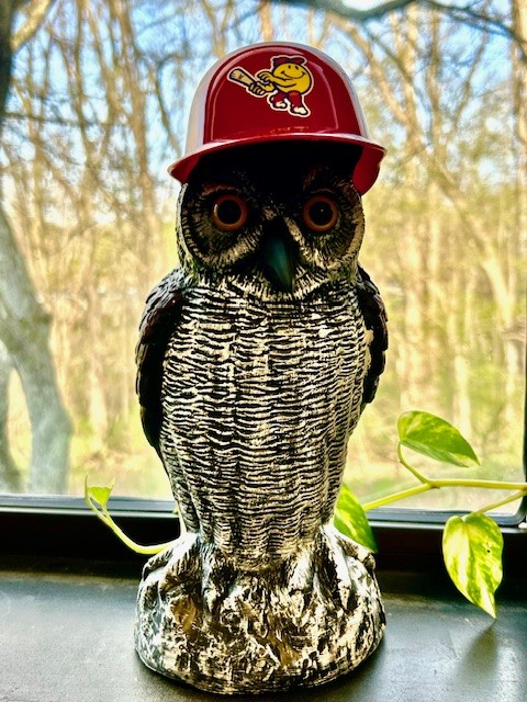 Owl%20WooSox%20cap(1).jpg