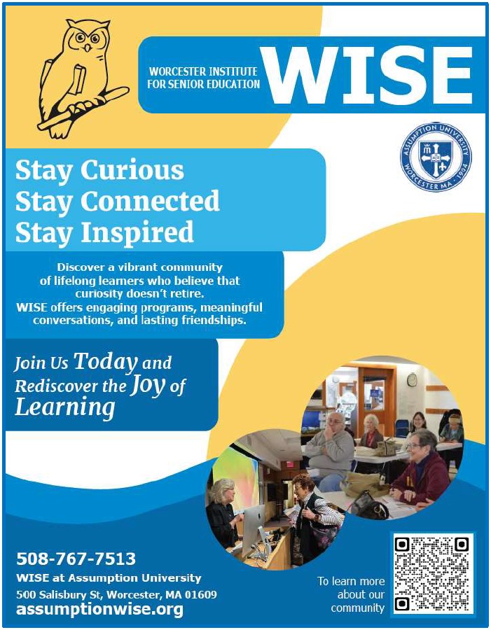 WISE%20Flyer%20Image.jpg