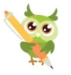 Writing%20owl.jpg